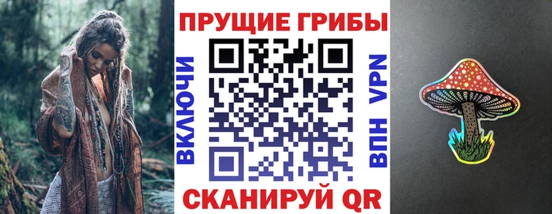 где найти наркотики Скопин Псилоцибиновые грибы GOLDEN TEACHER